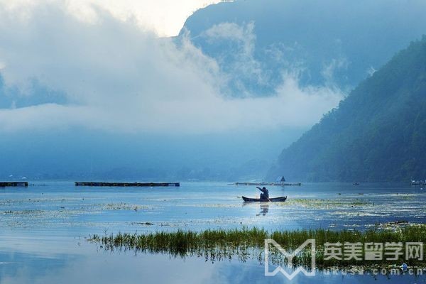 美国研究生留学哪些专业比较火